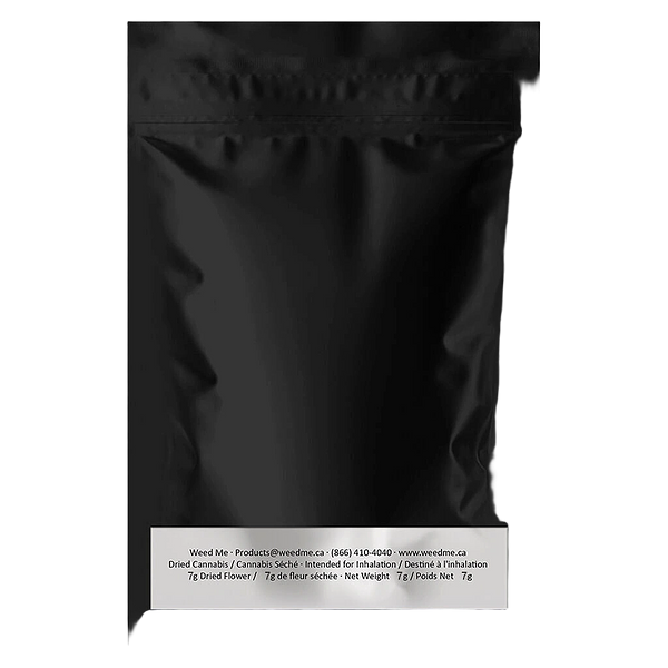 WINK - Purple Push Pop