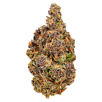 Cheers Cannabis - Alien Kush