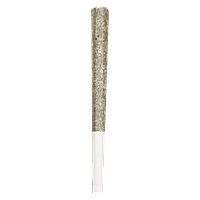 HighXotic - Royal One Vault Series Pre Roll