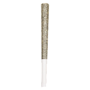 HighXotic - Royal One Vault Series Pre Roll