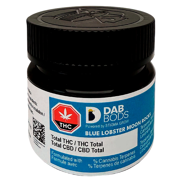 Dab Bods - Blue Lobster Moon Rocks