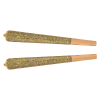 Fuego - Electric Black Cherry Distillate Infused Pre-Roll