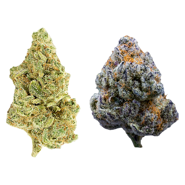 Rosin Heads - The Bread Bag