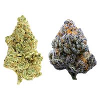 Rosin Heads - The Bread Bag