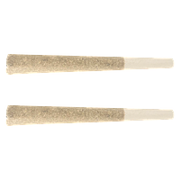 Stunnerz - Mango Blitz: Rotating Indica Pre-Roll