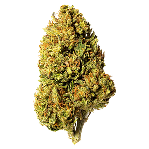 Bleuh - Bleuh Light