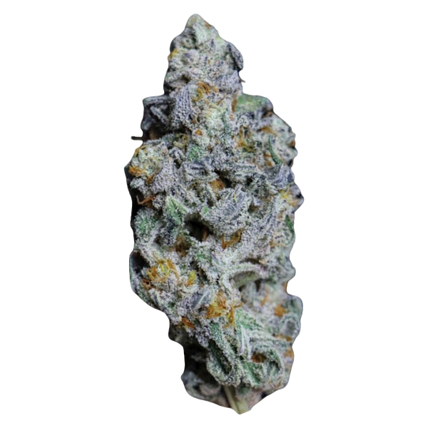 Frost Cannabis - Wet Cherry