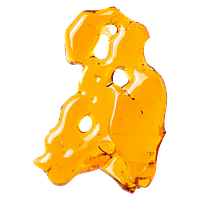 Versus - White Widow Shatter