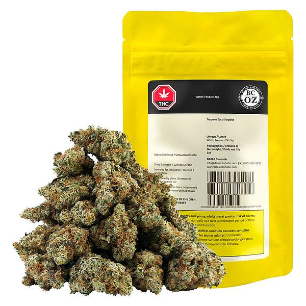 BC OZ - White Freezie image 4