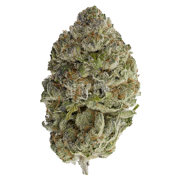 Sheeesh! - Bluefin Tuna