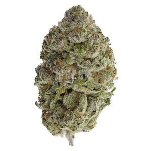 Sheeesh! - Bluefin Tuna