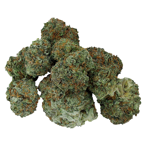 Starting Point! - Moon Drifter