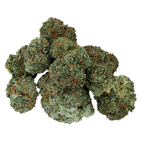 Starting Point! - Moon Drifter