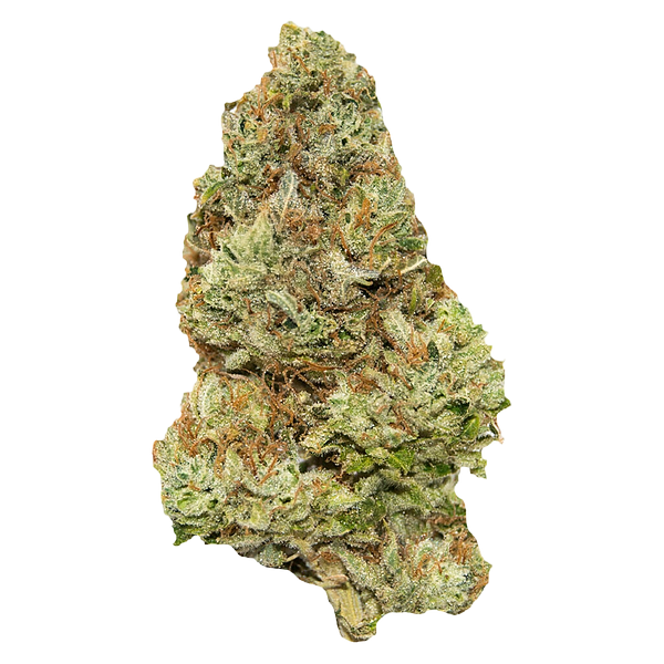 Contraband - Golden Tangie