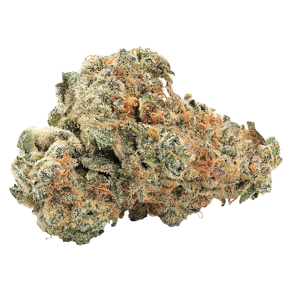 Big Bag O' Buds - Gmo Kush