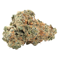 Big Bag O' Buds - Gmo Kush