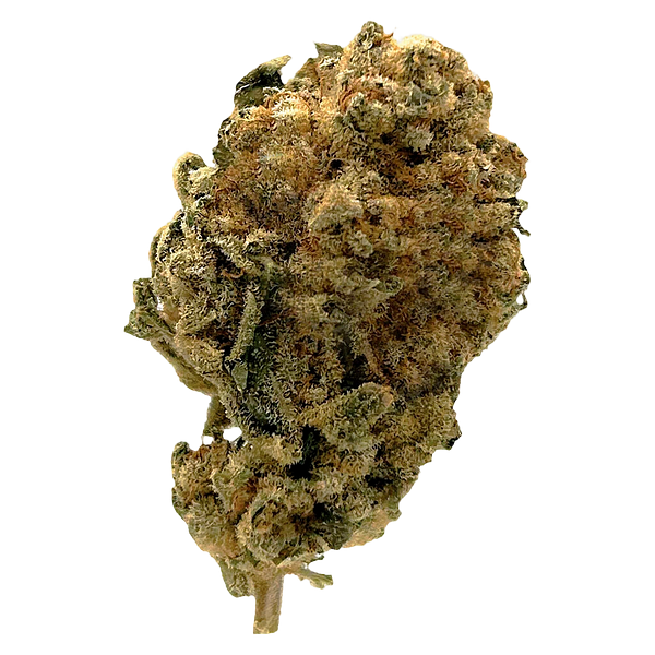 Station House - White Widow