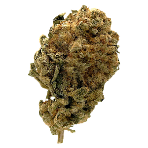 Station House - White Widow