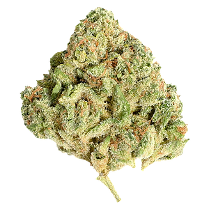 Potluck - Sugar Shack