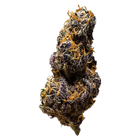 3rd Coast Genetics - Black Cheese