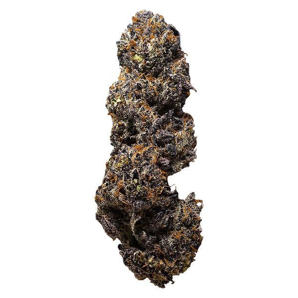 3rd Coast Genetics - The Dark Side