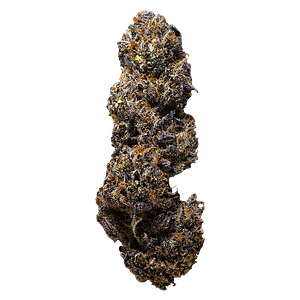 3rd Coast Genetics - The Dark Side