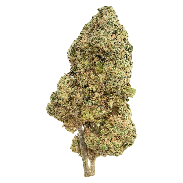 The Republic - Black Label