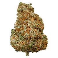 Potluck - Mango Dream