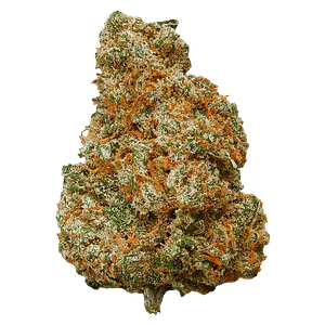 Potluck - Mango Dream