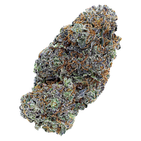 Pistol and Paris - LSO Collection: Blueberry Vendetta