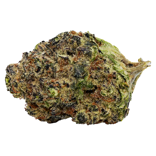 Lowbanks Grow - Bollywood