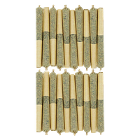 Starting Point! - Star Chase Pre Roll