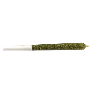VOLO - Commando Pre Roll