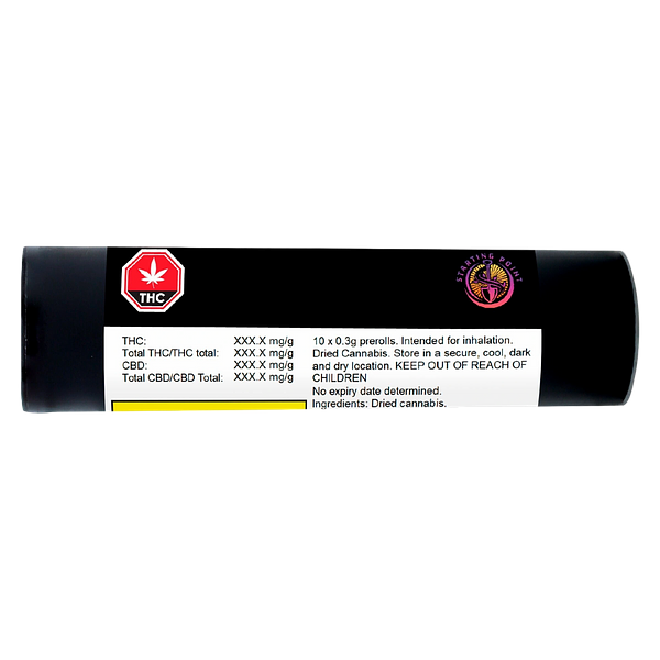 Starting Point! - Star Chase Pre Roll