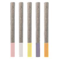 Handy Dandies - Flavour Flight Infused Pre Roll