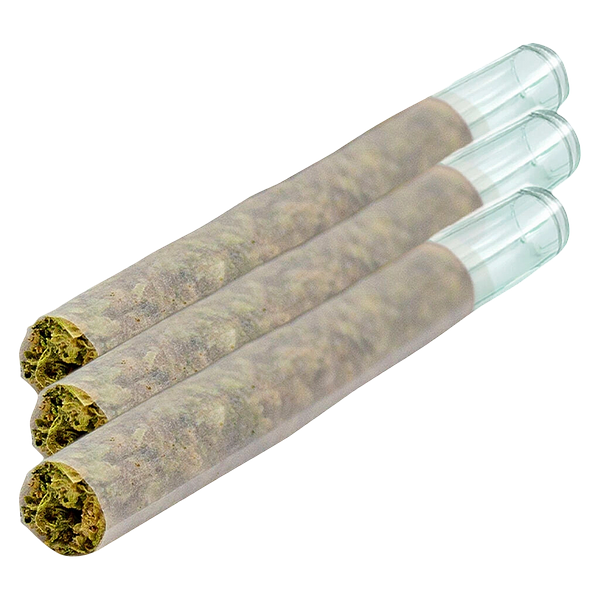 Puff Paradise - Magik Dragon Glass Tip Pre Roll