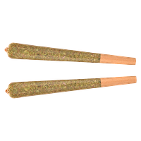 Fuego - Wondermelon Distillate Infused Pre-Roll