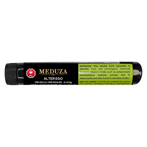 Meduza - Alter Ego Pre-Roll