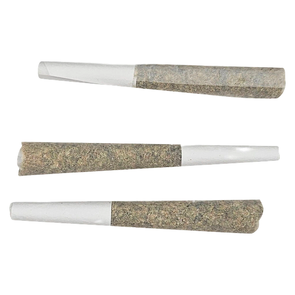 Meduza - Meduza's DE LA Capitan Pre-Roll