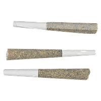 Meduza - Meduza's DE LA Capitan Pre-Roll