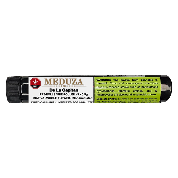 Meduza - Meduza's DE LA Capitan Pre-Roll