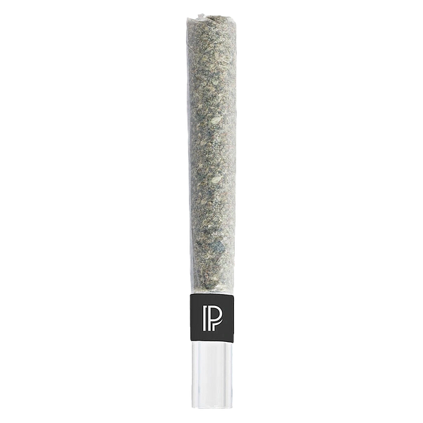 Pistol and Paris - Bubble Hash Infused Pre-Roll