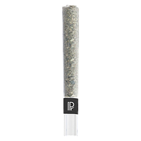 Pistol and Paris - Bubble Hash Infused Pre-Roll