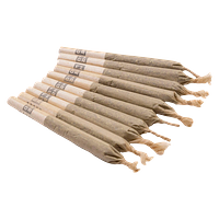 FIGR - Chatty Kathy Pre-Roll