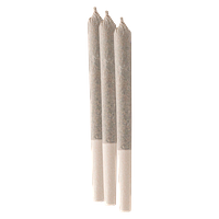 Pure Trichomes Inc. - C-18 (Cactus Breath) Pre-Roll