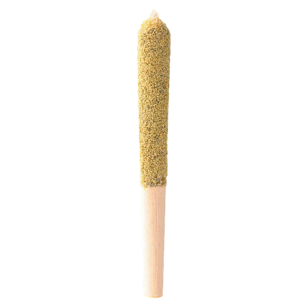 Tenzo - Pineapple Zktlz Double Hash Infused Pre-Roll