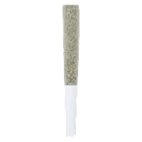 Encore - Sativa Greatest Hits Vol. 1 Pre-Roll