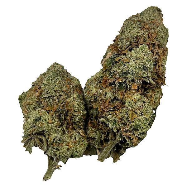 Puffer's Paradise - Honah Lee Haze image 1