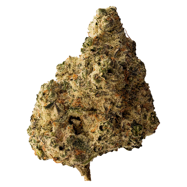 All Nations - Lemon Gelato