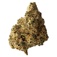 All Nations - Lemon Gelato